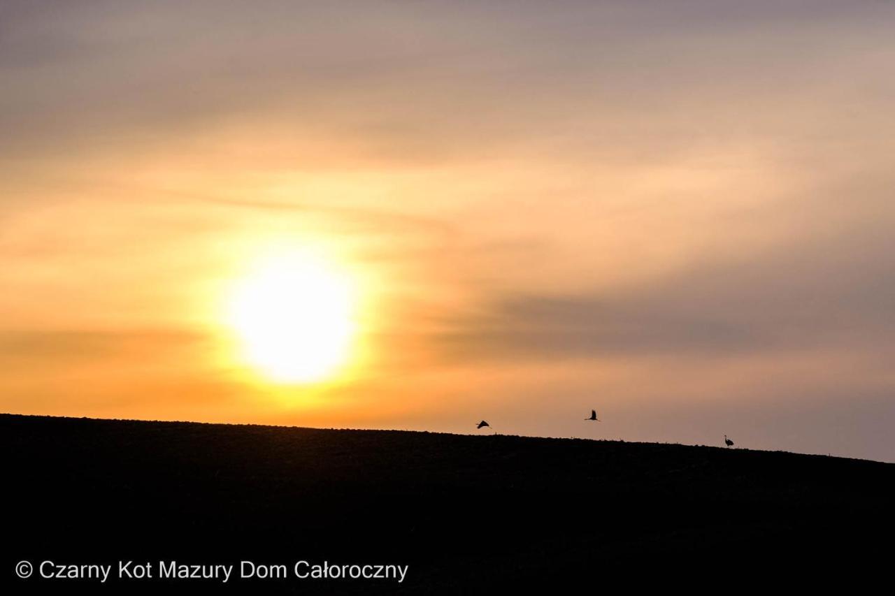 MalkinieCzarny Kot Mazury Dom Caloroczny别墅 外观 照片