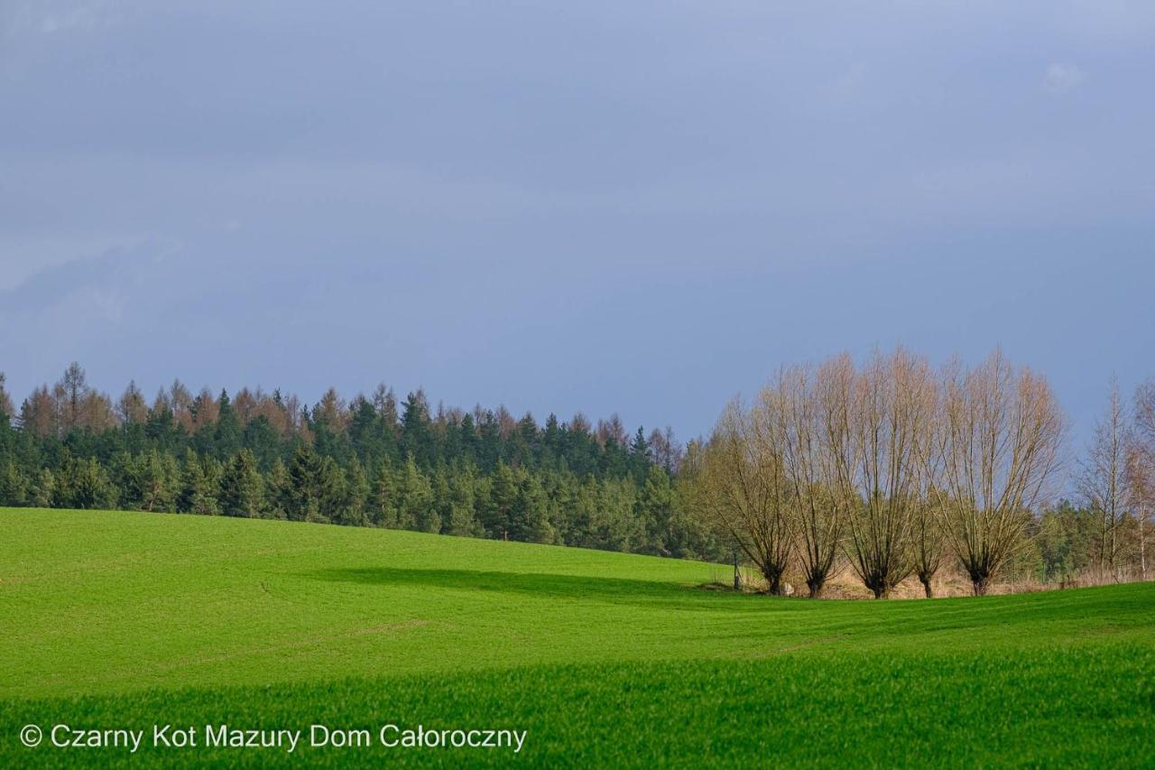 MalkinieCzarny Kot Mazury Dom Caloroczny别墅 外观 照片